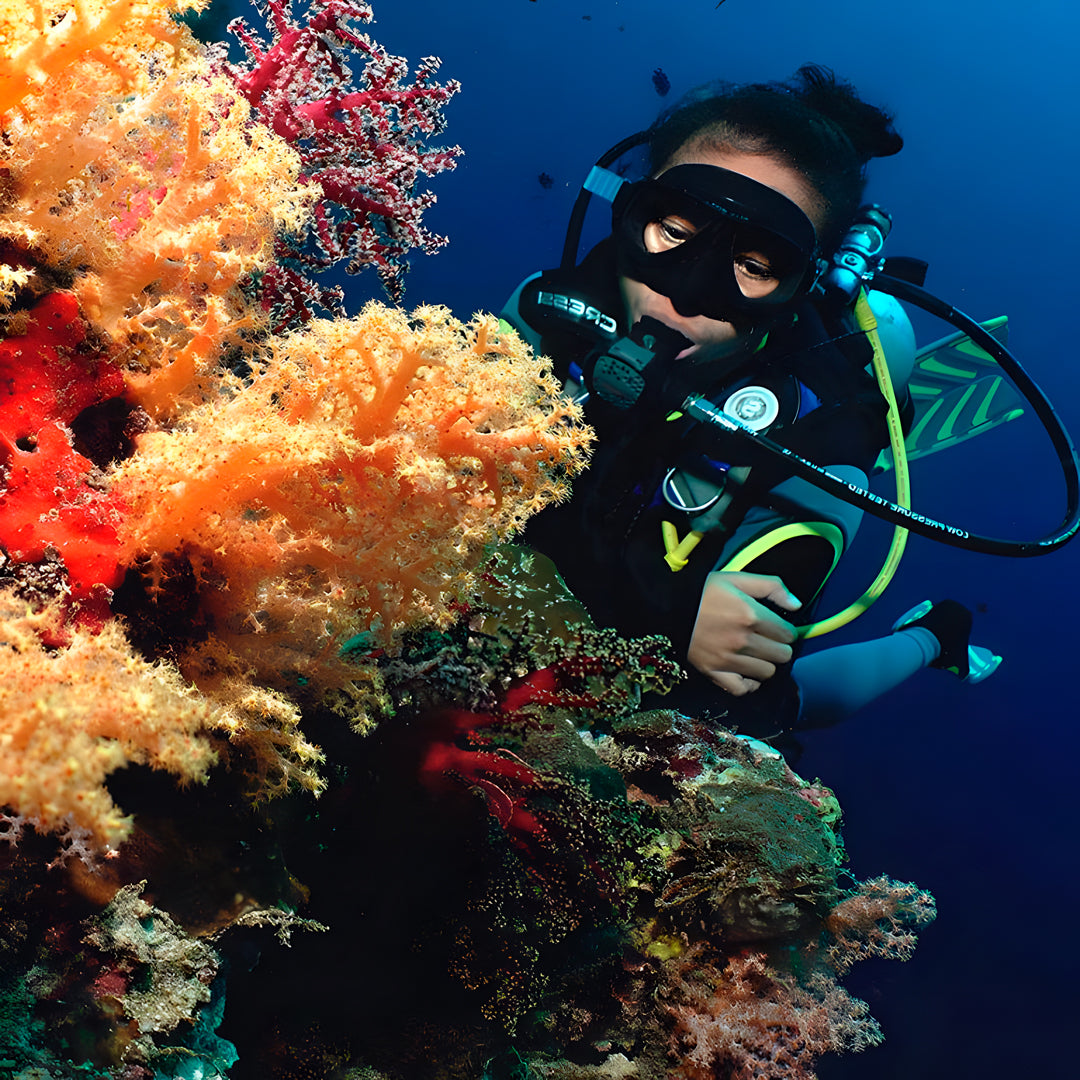 PADI Divemaster Certification Course in Cebu