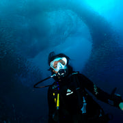 Moalboal Scuba Diving Shore Dive