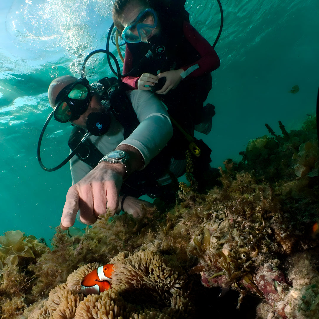 Cebu Scuba Diving Fun Boat Dive