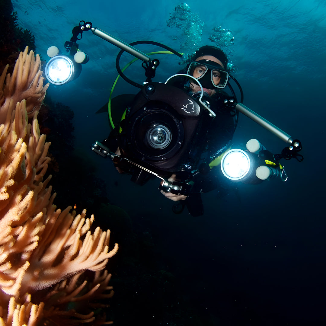 Moalboal Scuba Diving Shore Dive