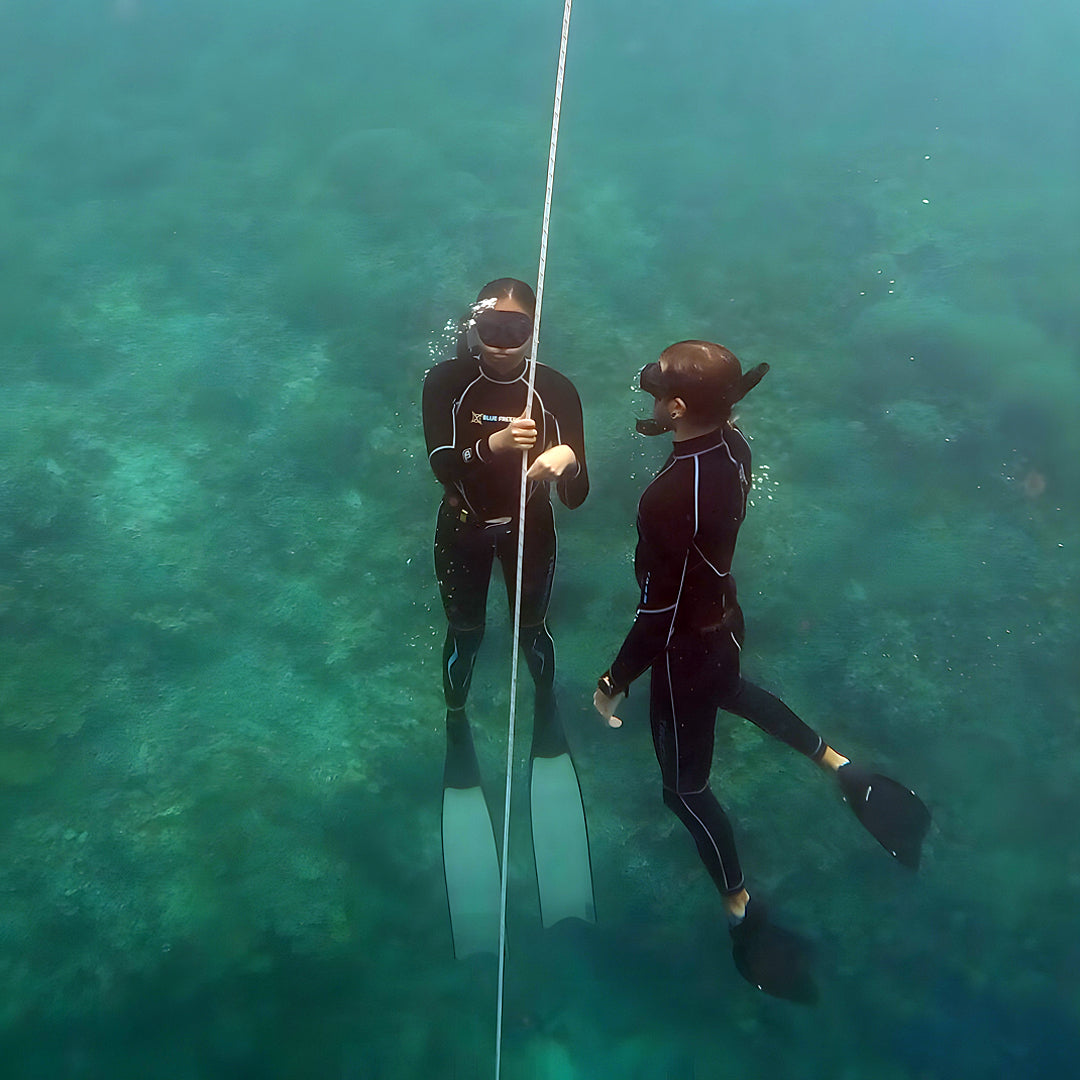 Panglao Plane Wreck Fun Dive Blue Freedom Apnea