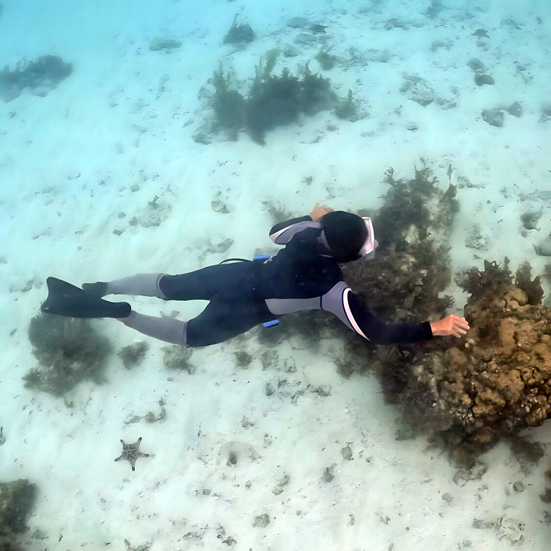 Panglao Plane Wreck Fun Dive Blue Freedom Apnea