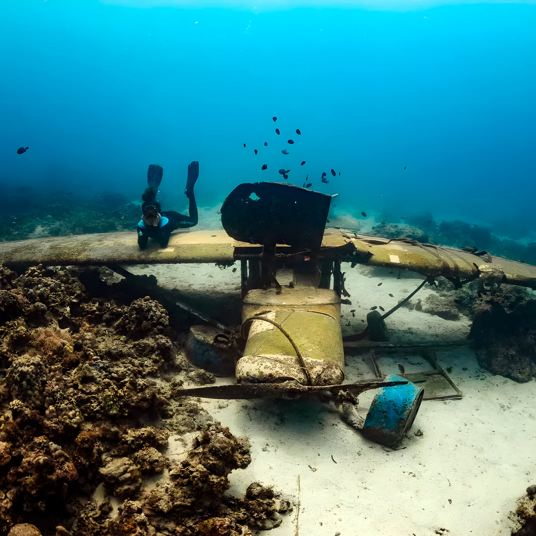 Panglao Plane Wreck Fun Dive Blue Freedom Apnea
