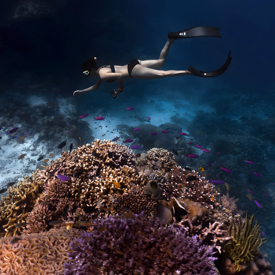 Mantigue Island Camiguin Freediving Fun Dive