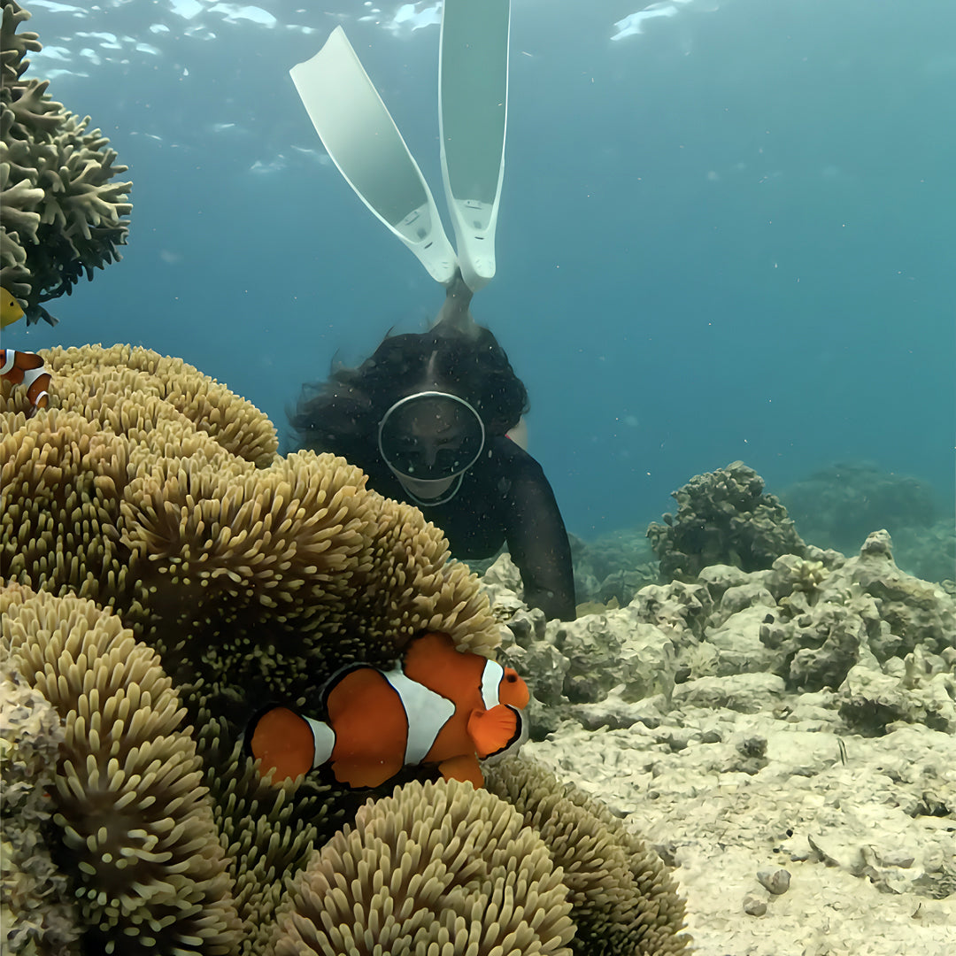 Mantigue Island Camiguin Freediving Fun Dive