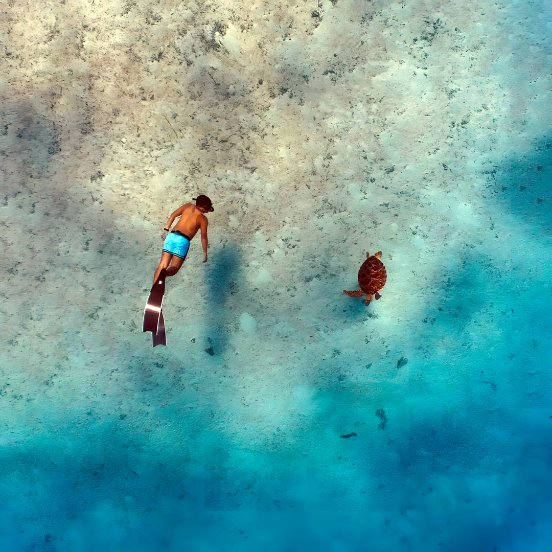 Mantigue Island Camiguin Freediving Fun Dive