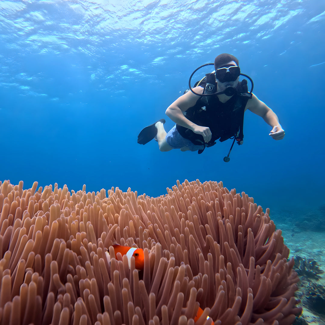 Introduction to Freediving Program