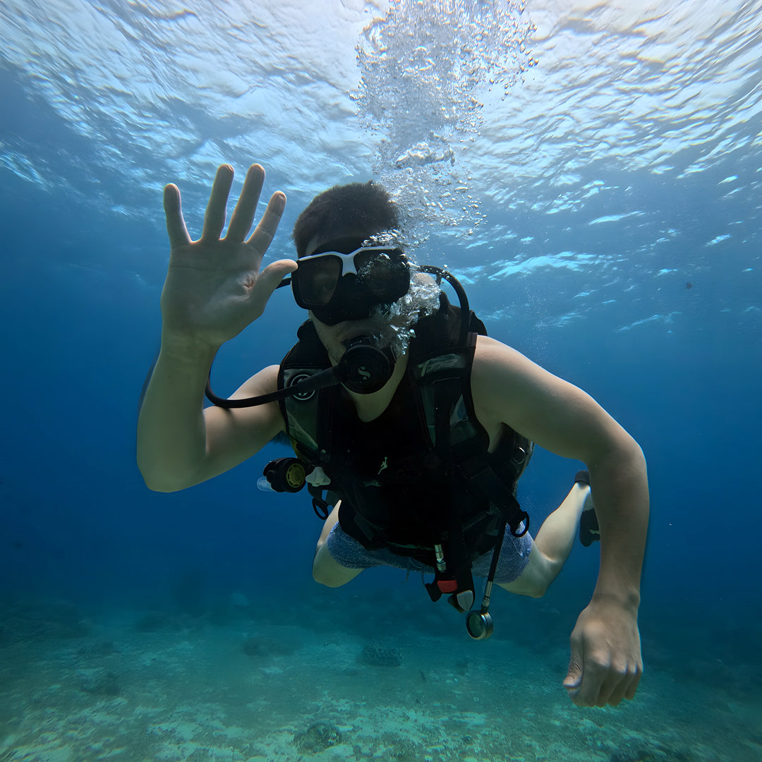 Introduction to Freediving Program