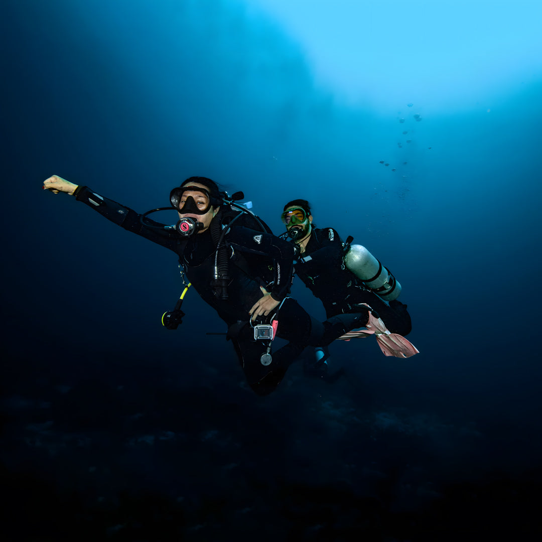 Introduction to Freediving Program