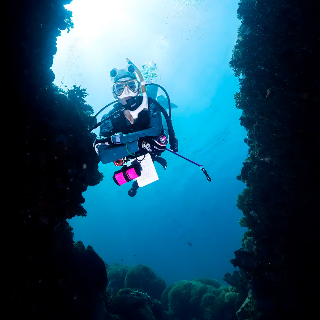 Boracay Basic Freediver Course Fisheye Divers Boracay