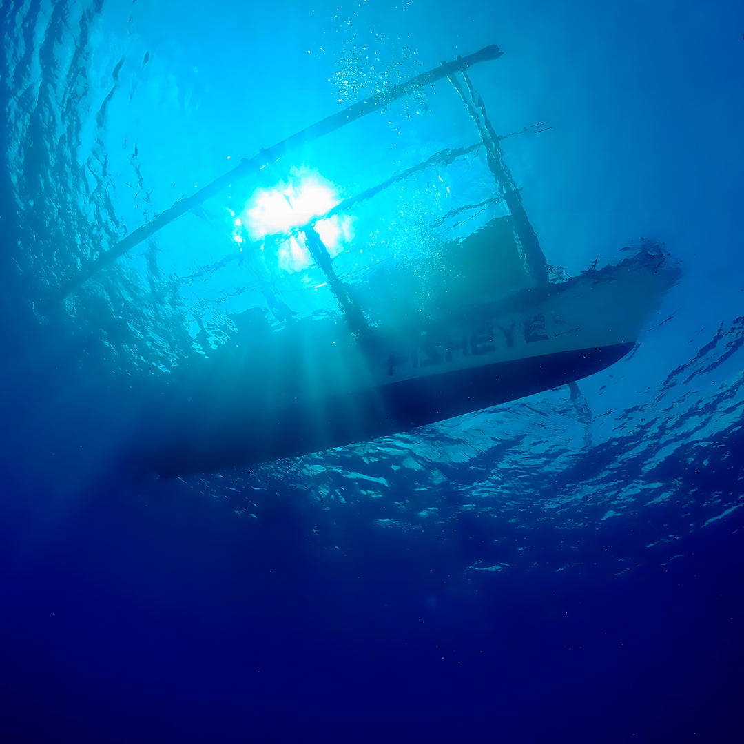 Boracay Basic Freediver Course Fisheye Divers Boracay
