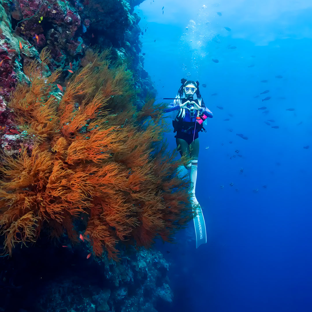 Boracay Basic Freediver Course Fisheye Divers Boracay