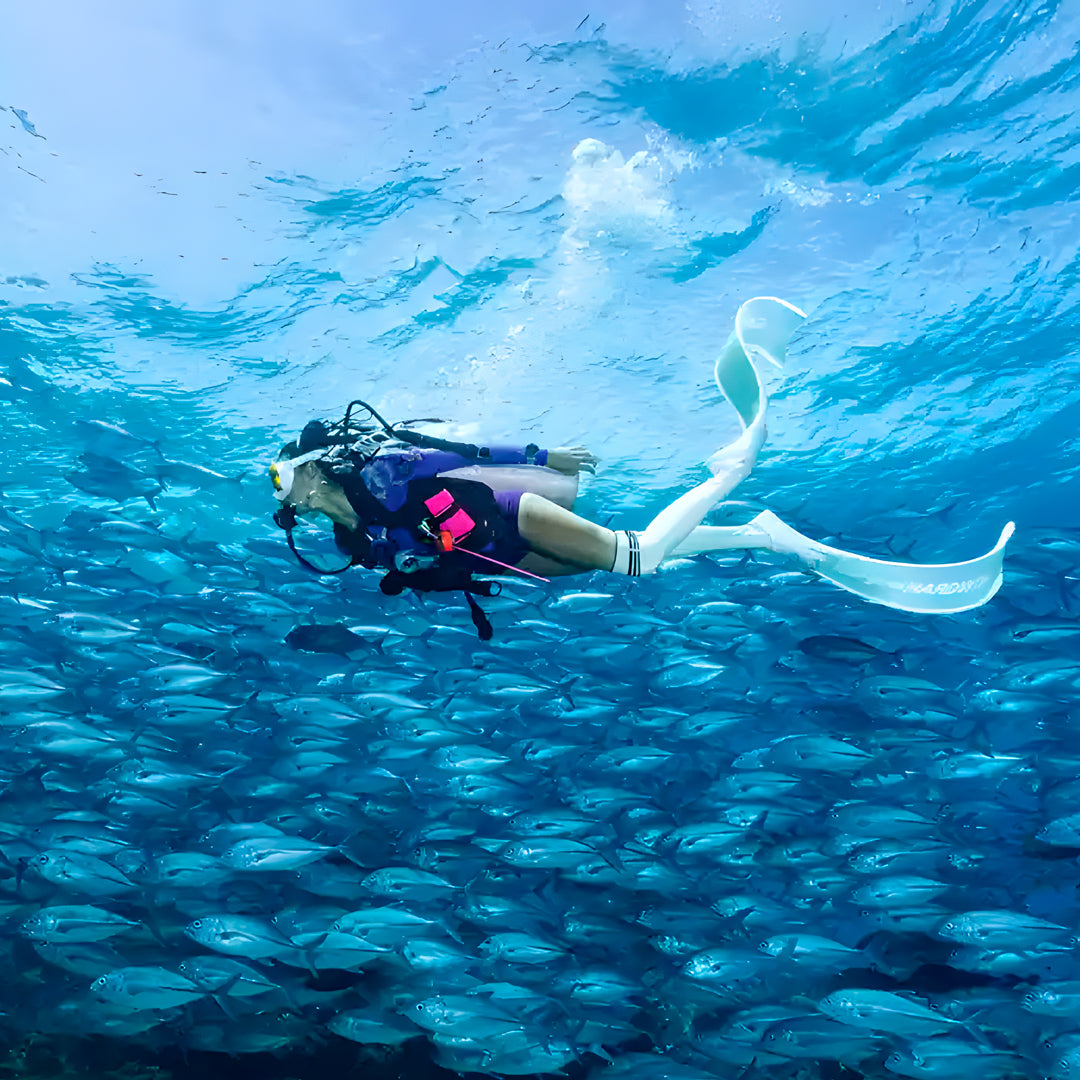 Boracay Basic Freediver Course Fisheye Divers Boracay