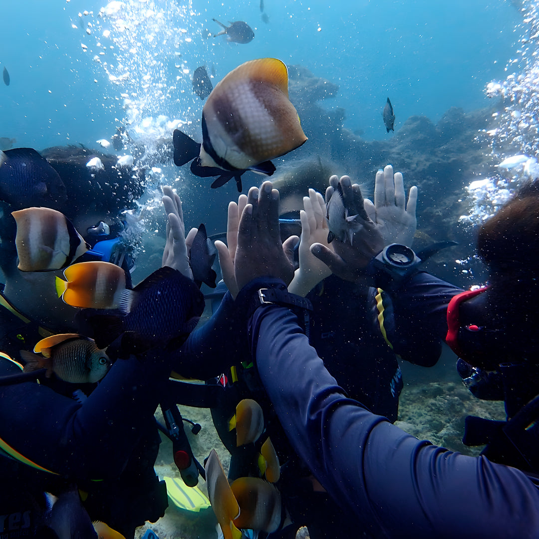 Boracay Basic Freediver Course Fisheye Divers Boracay