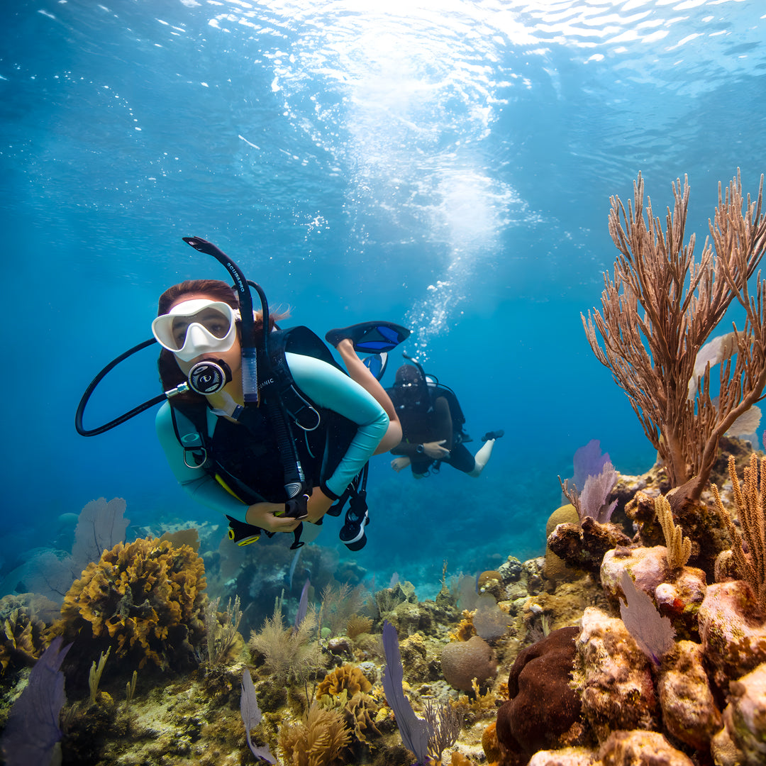 Boracay Basic Freediver Course Fisheye Divers Boracay