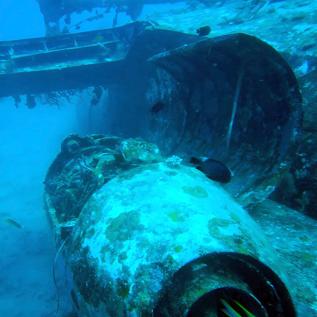 Boracay Freediving Training Dive