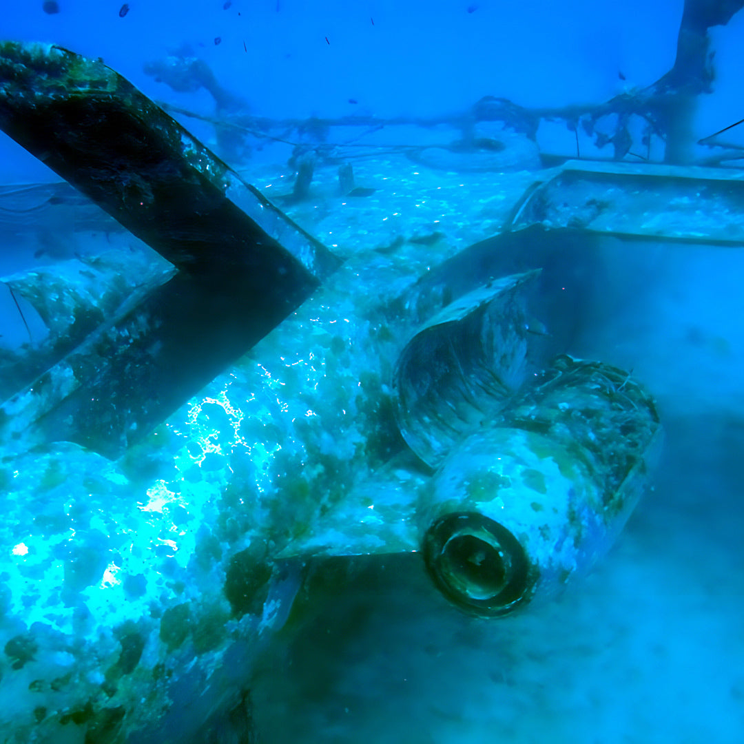 Boracay Freediving Training Dive