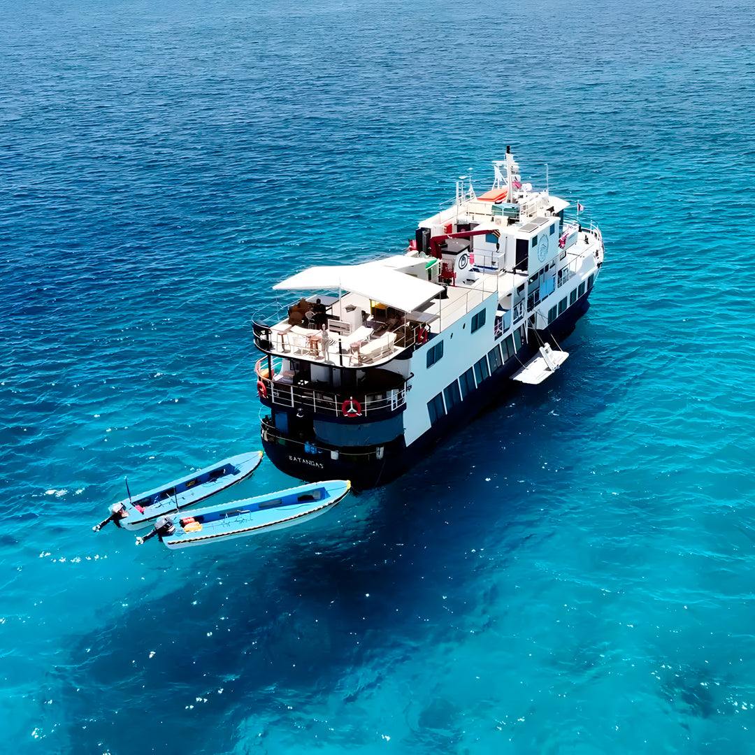 Anilao - Tubbataha Scuba Diving Liveaboard