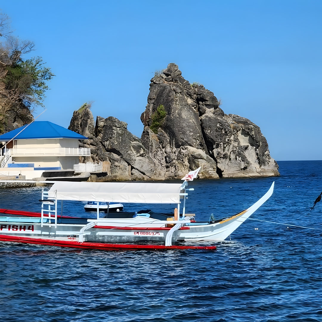Anilao SSI Open Water Diver Course Aqua-venture Reef Club Resort