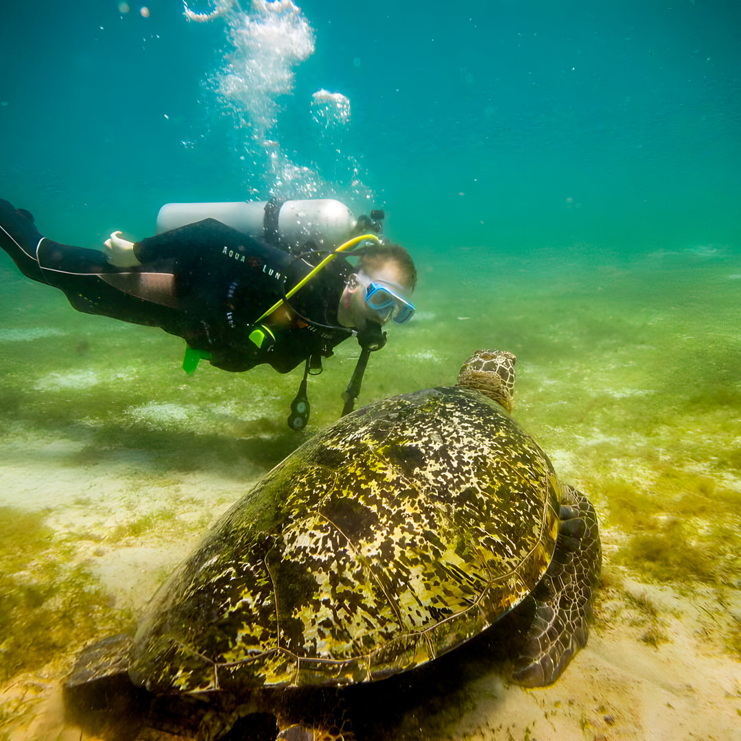 Discover Scuba Diving Badladz Diving Center