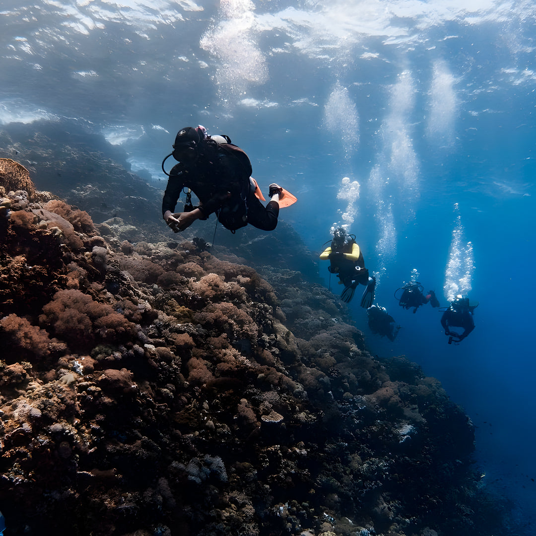 Discover Scuba Diving Badladz Diving Center