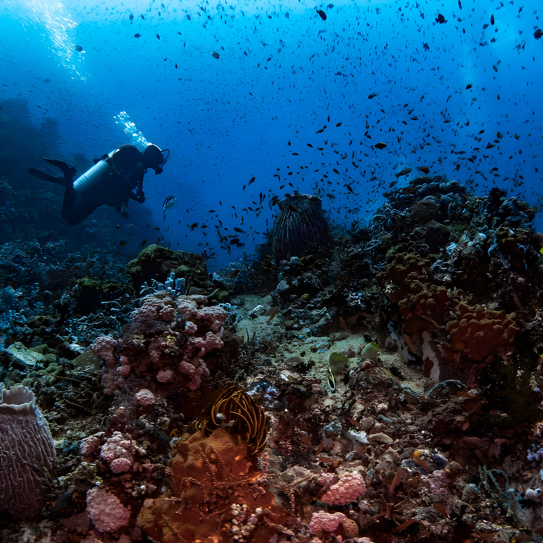 Discover Scuba Diving Badladz Diving Center
