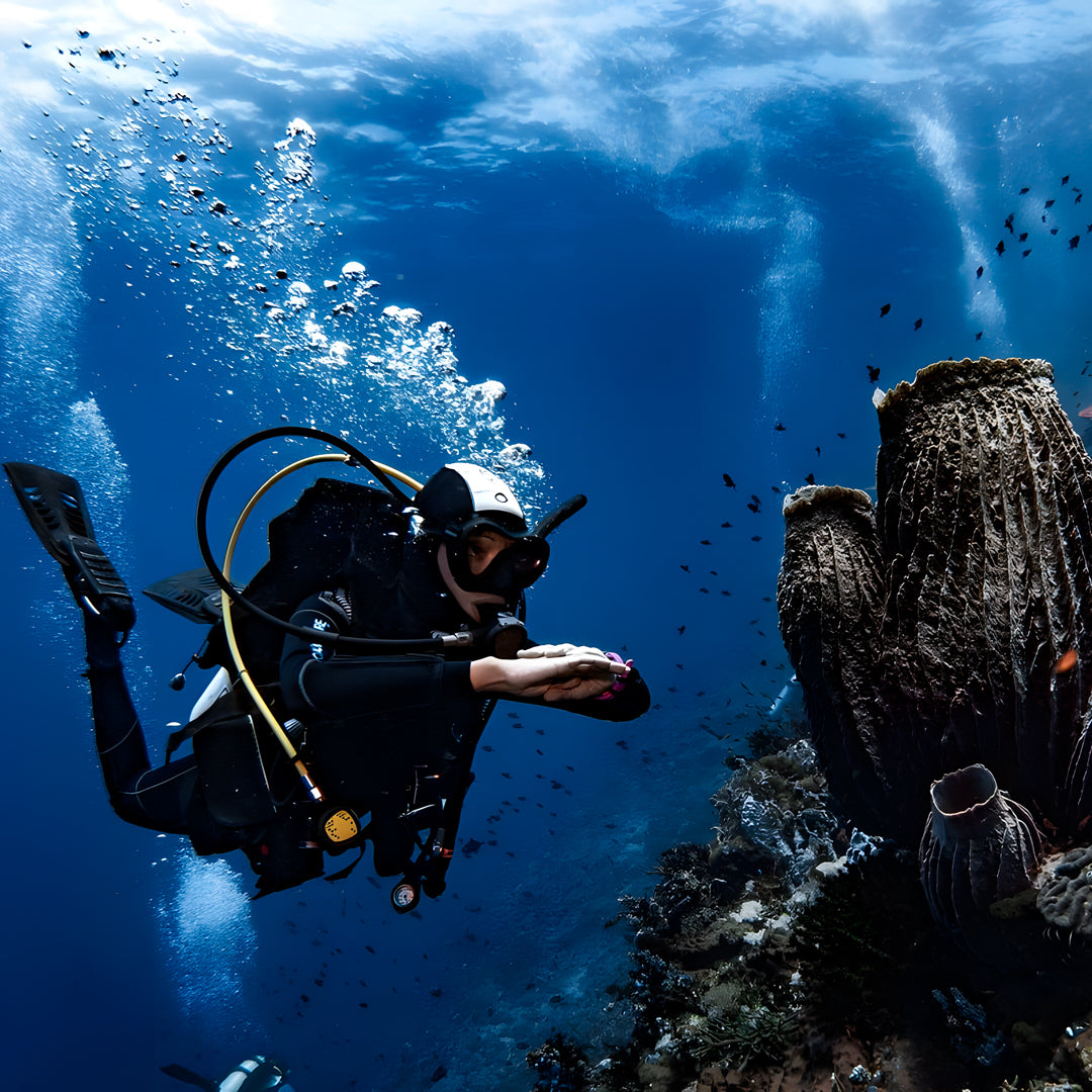 Discover Scuba Diving Badladz Diving Center