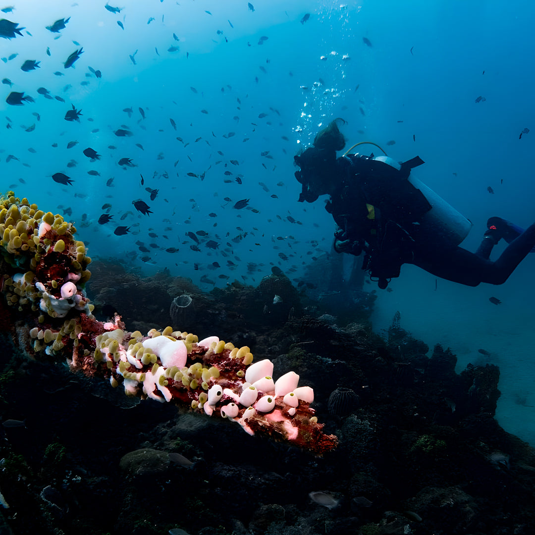 Discover Scuba Diving Badladz Diving Center