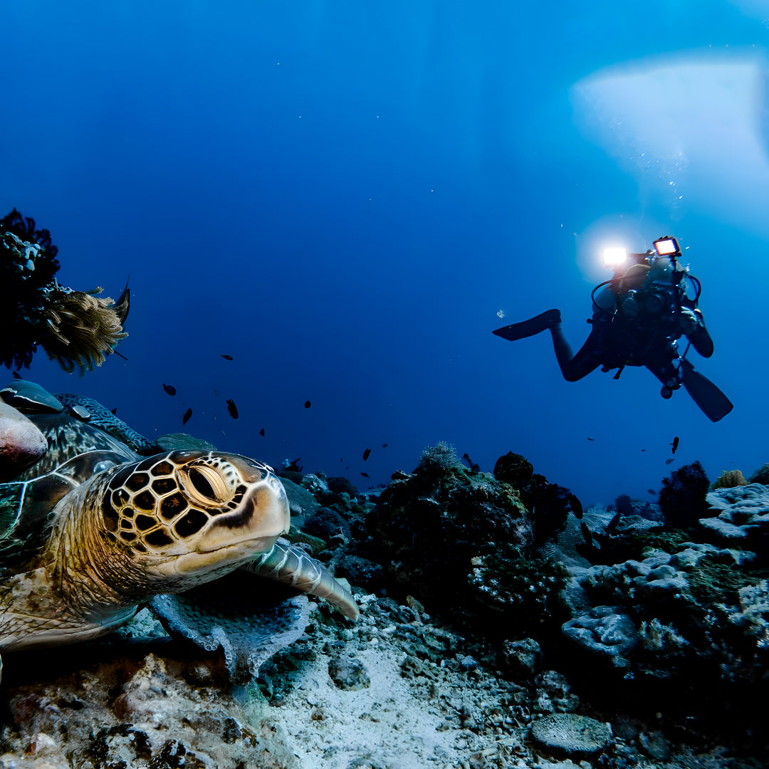 Discover Scuba Diving Badladz Diving Center