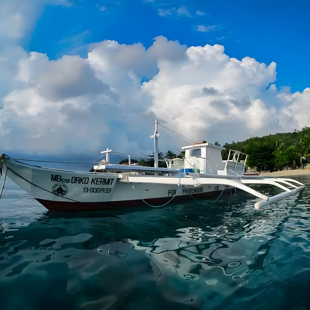 Anilao Advanced Adventure Scuba Diver Course Blue Ribbon Dive Resort