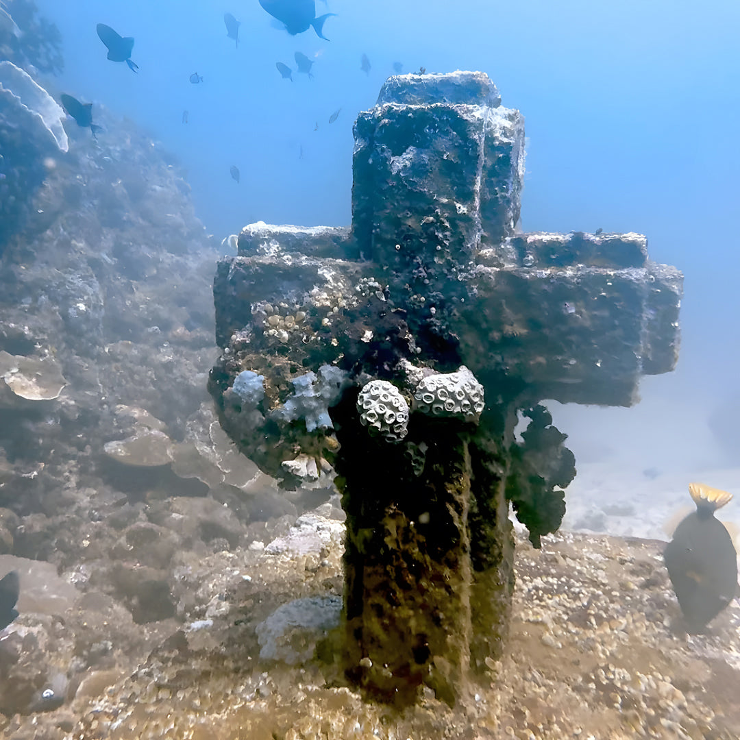Anilao Advanced Adventure Scuba Diver Course Blue Ribbon Dive Resort