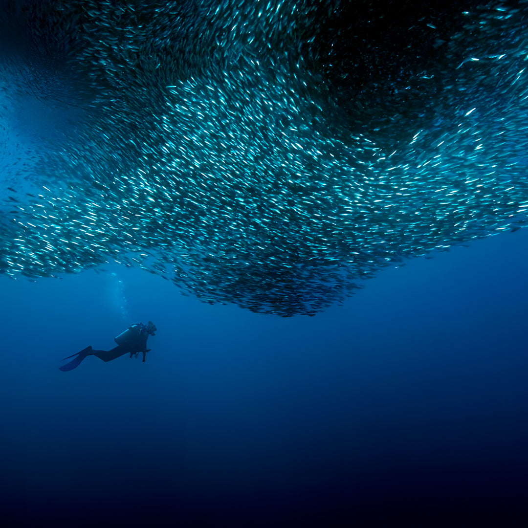 Moalboal PADI Bubblemaker Dive Course for Kids