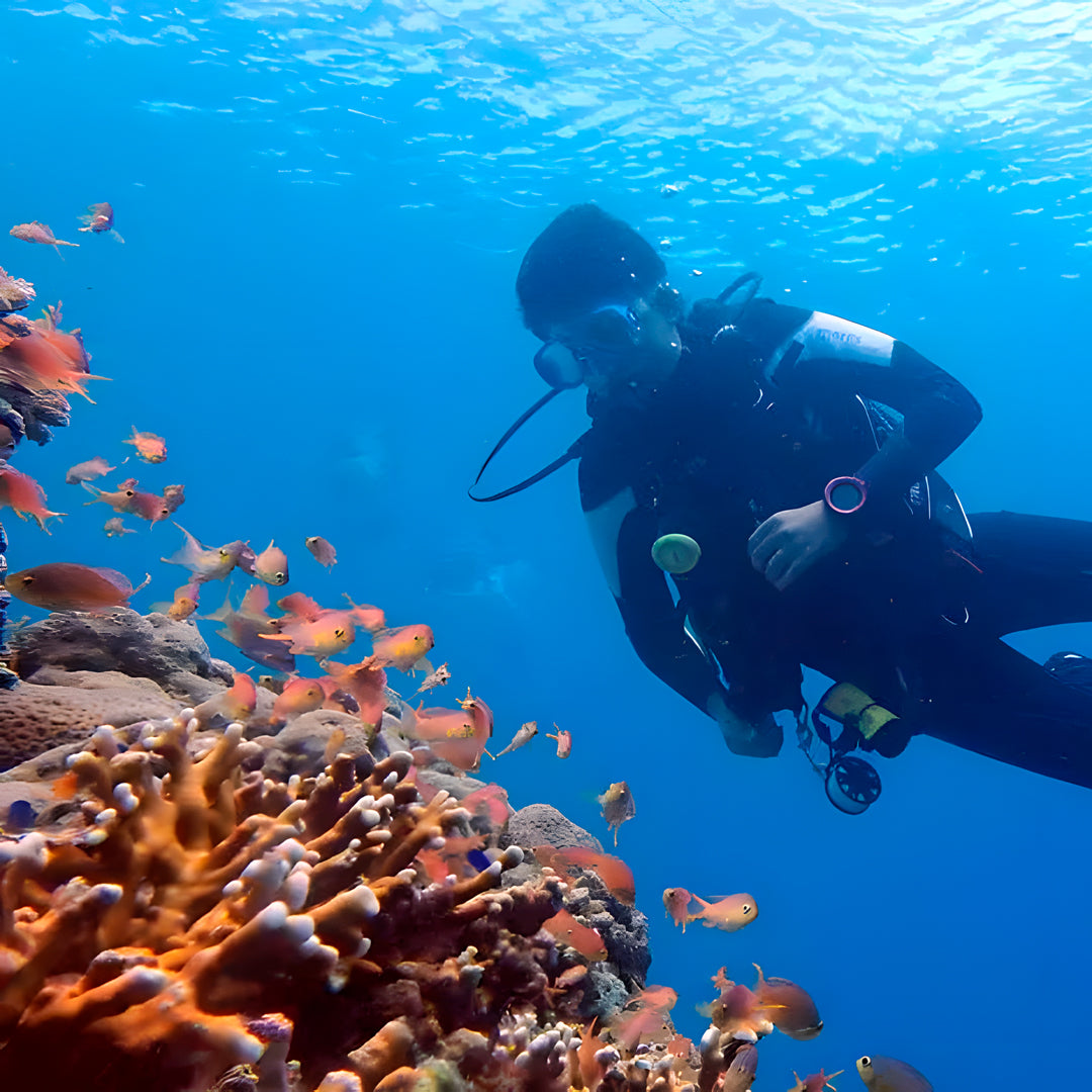 Moalboal PADI Bubblemaker Dive Course for Kids