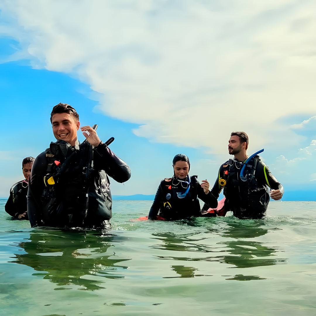 Oslob Whale Shark Special Day Trip