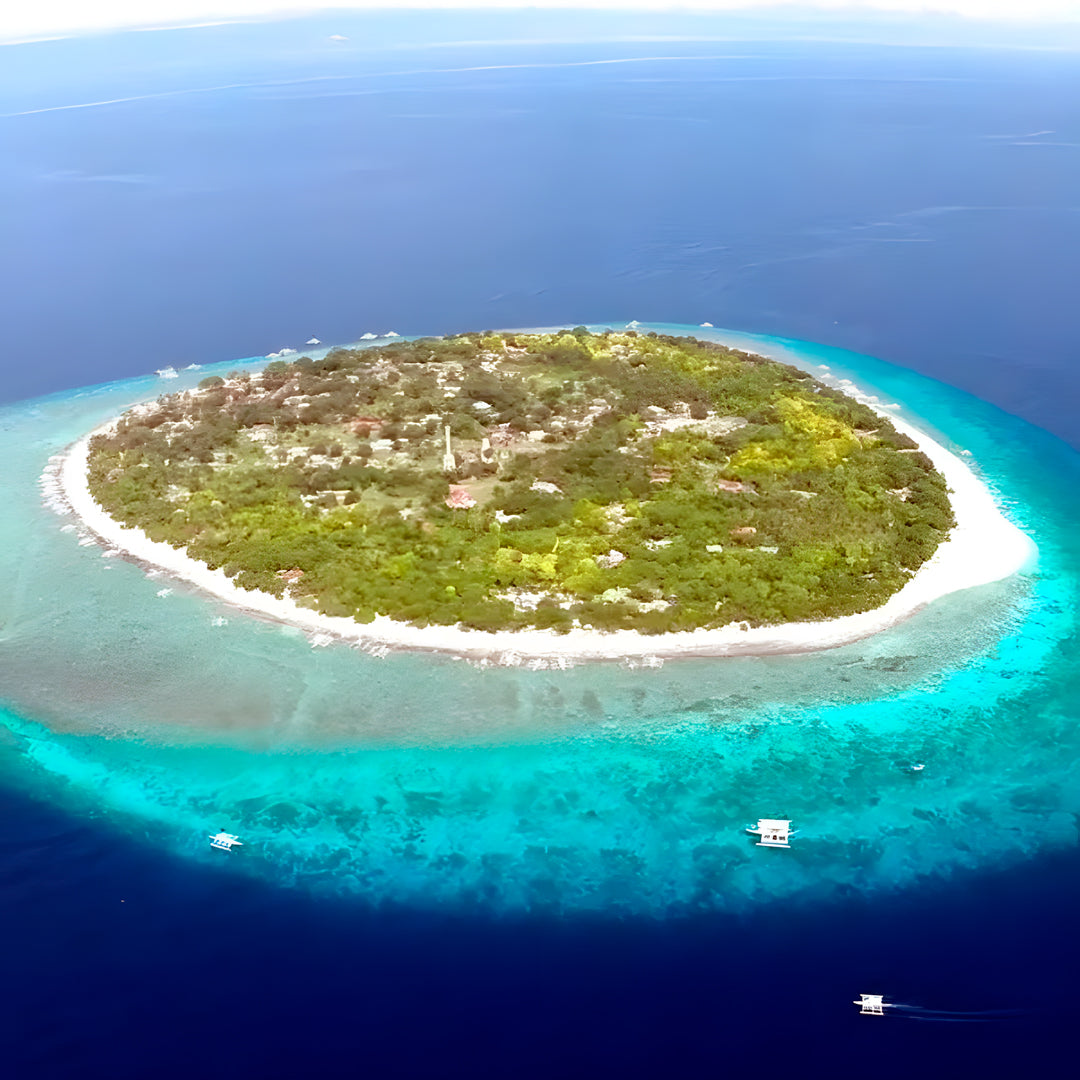 Moalboal PADI Advanced Open Water Course