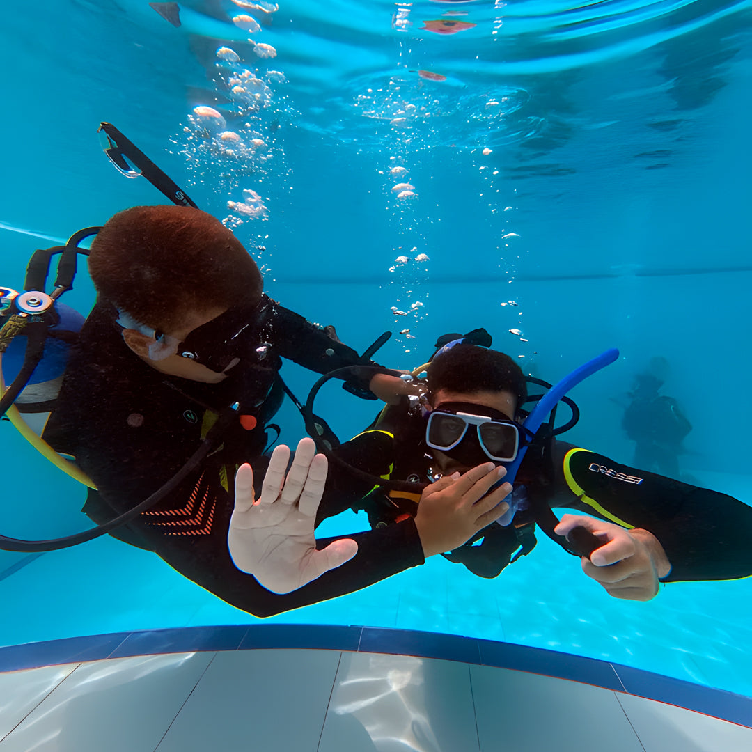 Oslob Whale Shark Special Day Trip