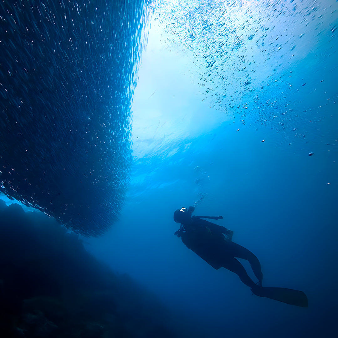 PADI Open Water Course in Moalboal