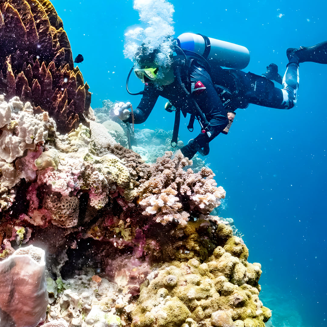 Moalboal PADI Advanced Open Water Course