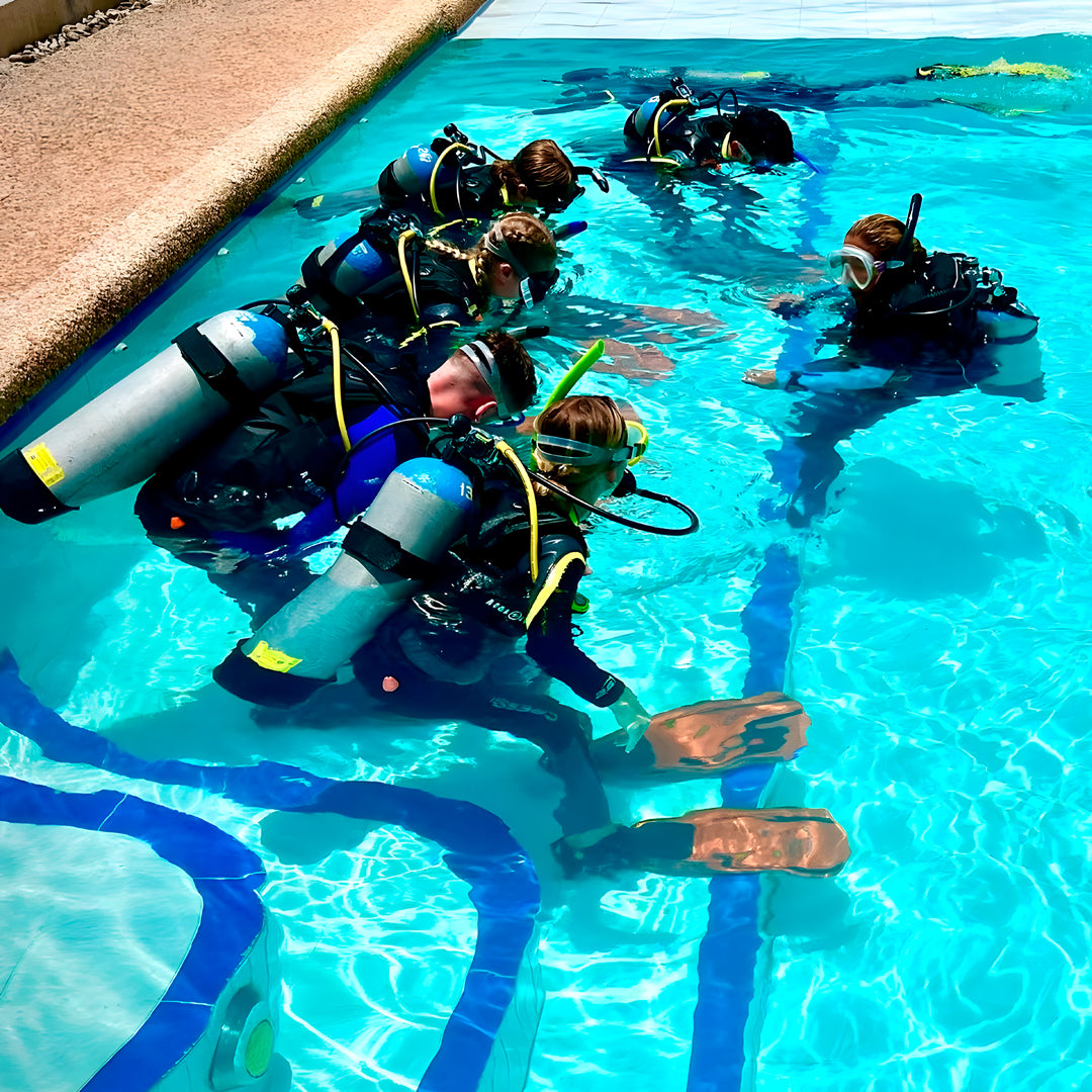 PADI Open Water Course in Moalboal