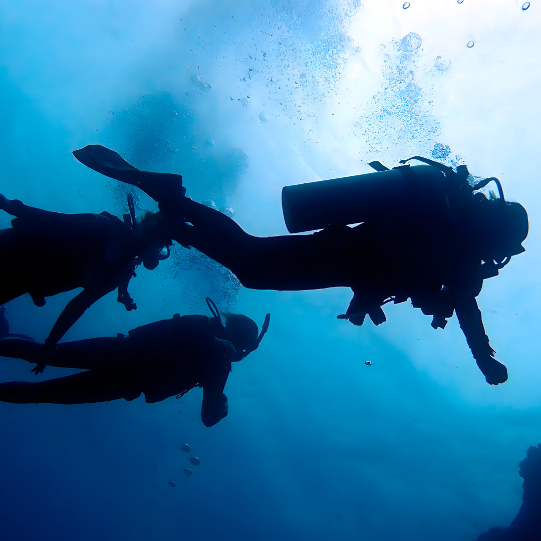 Moalboal PADI Advanced Open Water Course