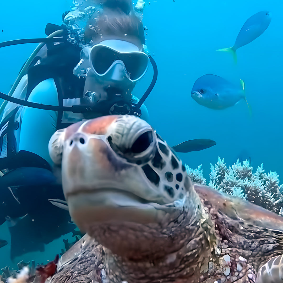 PADI Open Water Diver Course in Pili Beach