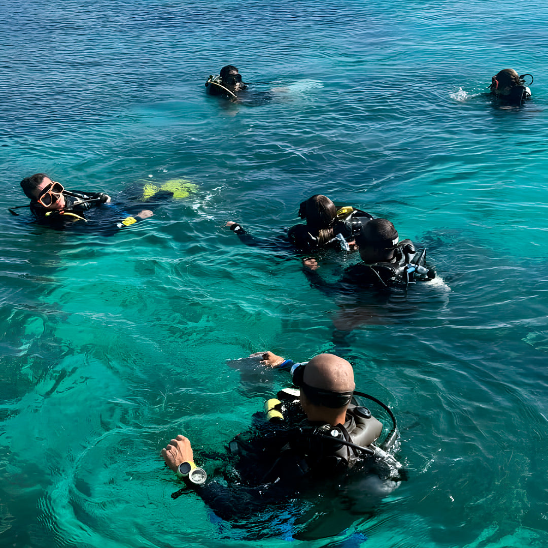 Buceo recreativo - Playa Pili