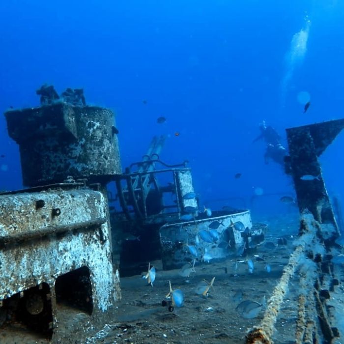 Porto Santo Island Scuba Diving Trip