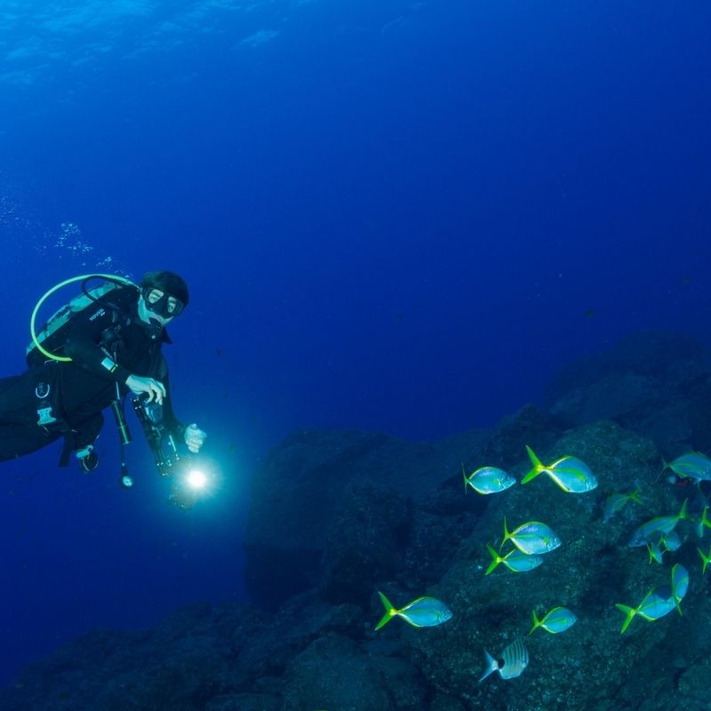 Madeira Island Scuba Diving Trip