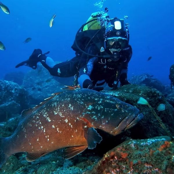 Santa Maria Island Discovery Scuba Dive
