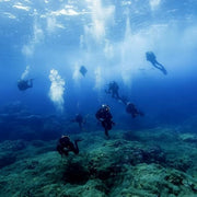 Terceira Island Discovery Scuba Dive