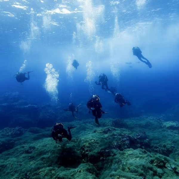 Terceira Island Discovery Scuba Dive