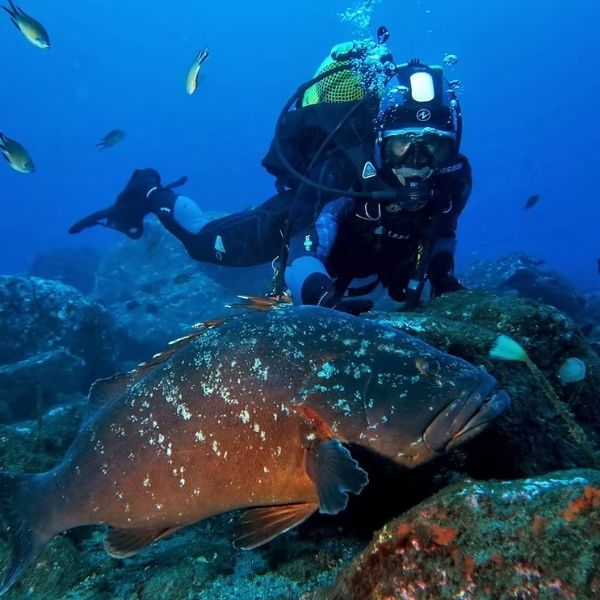 Porto Santo Island Discovery Scuba Dive