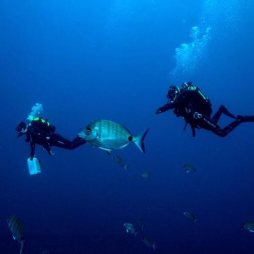 Graciosa Island Discovery Scuba Dive