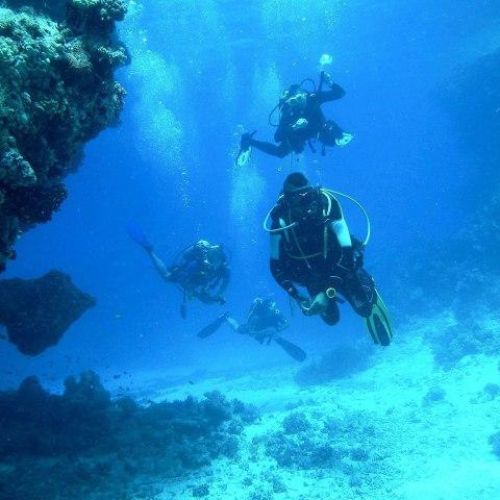 Sao Miguel Discovery Scuba Dive